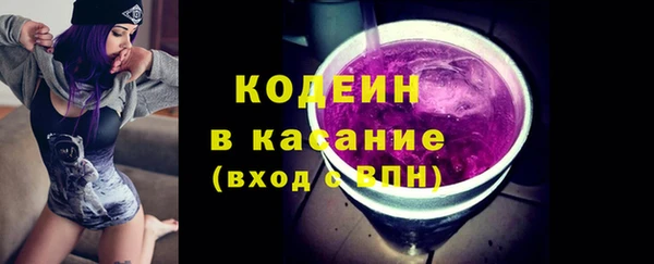дмт Анива