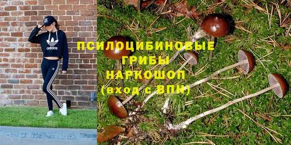 герыч Медвежьегорск