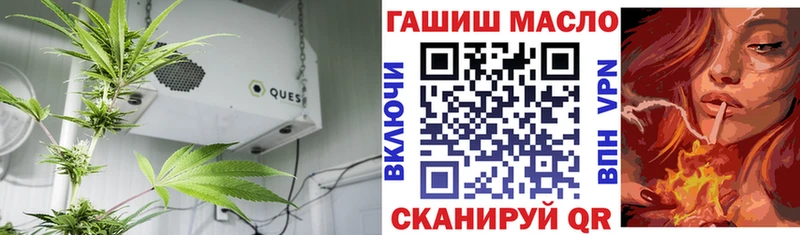 Дистиллят ТГК Wax  продажа наркотиков  omg как зайти  Щёлково 